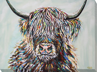 Woolly Highland Cow II