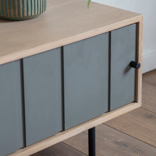 Fuji Media Unit