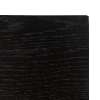 Holsen 2 Door Sideboard Black