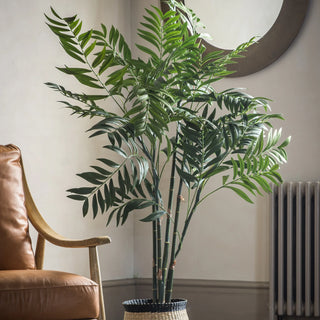 Areca Palm Tree - Large - KC at HOME