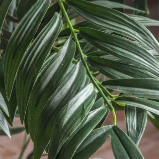 Areca Palm Tree - Large - KC at HOME