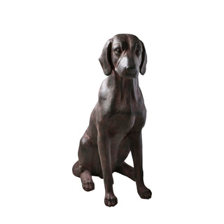 Digby Dog - KC at HOME
