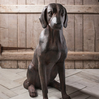 Digby Dog - KC at HOME