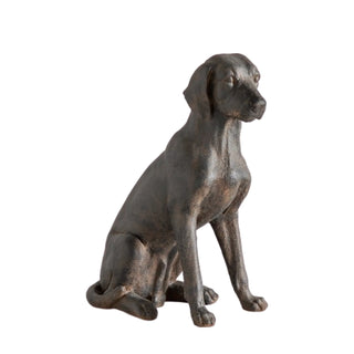 Digby Dog - KC at HOME