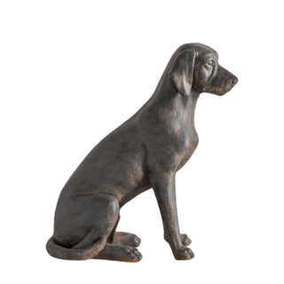 Digby Dog - KC at HOME