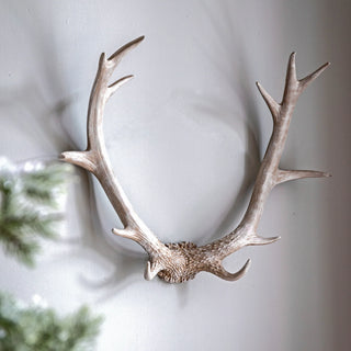 Bjorn Antler Wall Art White - KC at HOME
