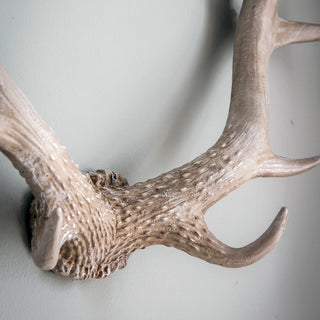 Bjorn Antler Wall Art White - KC at HOME