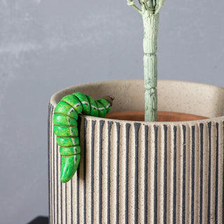 Jackson Caterpillar Pot Hanger (2 pack) - KC at HOME