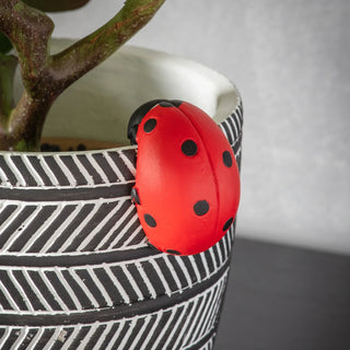 Eve Ladybird Pot Hanger (2 pack) - KC at HOME