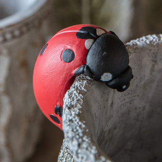 Eve Ladybird Pot Hanger (2 pack) - KC at HOME