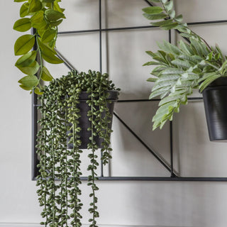 Carlos Wall Planter Black - KC at HOME