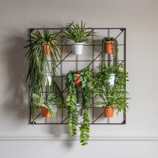 Carlos Wall Planter White & Terracotta - KC at HOME