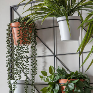 Carlos Wall Planter White & Terracotta - KC at HOME