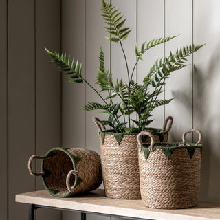 Elgon Baskets Natural & Green (Set of 3) - KC at HOME
