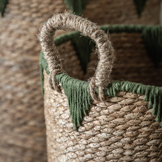 Elgon Baskets Natural & Green (Set of 3) - KC at HOME