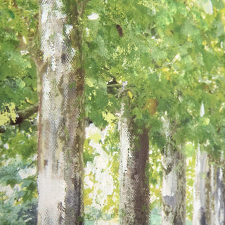 Avenue of Trees Framed Canvas - KC at HOME