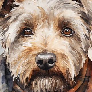 Teddy Framed Canvas