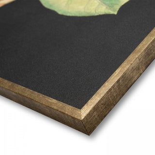 Laurel Tree Framed Canvas