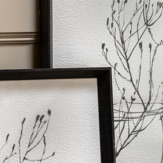 Delicate Nature Framed Art Set of 2 - KC at HOME