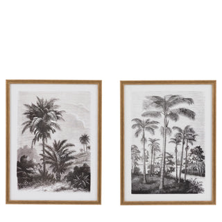 Colonial Sketches Framed Art Set of 2 - KC at HOME