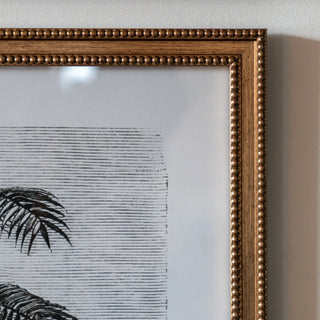 Colonial Sketches Framed Art Set of 2 - KC at HOME