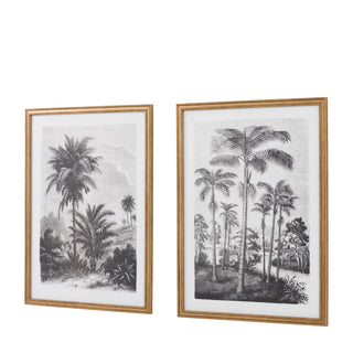 Colonial Sketches Framed Art Set of 2 - KC at HOME