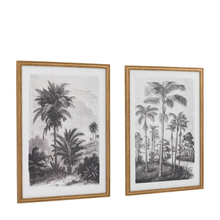 Colonial Sketches Framed Art Set of 2 - KC at HOME