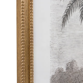 Colonial Sketches Framed Art Set of 2 - KC at HOME