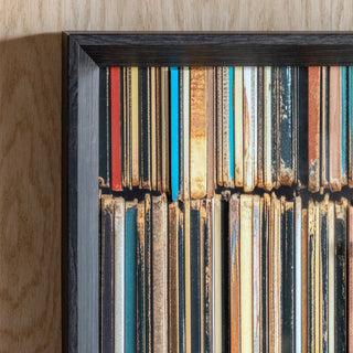 The Vinyl Collector Framed Art