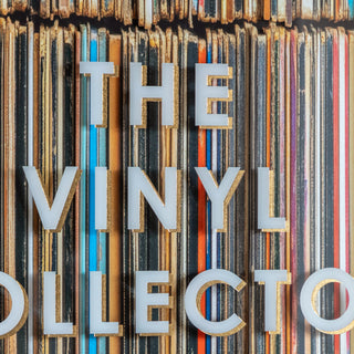 The Vinyl Collector Framed Art