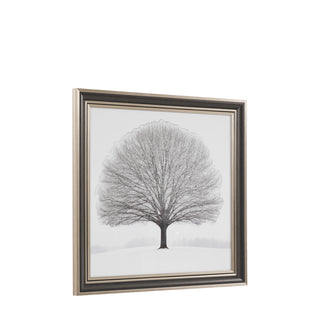 Silent Beauty Framed Art