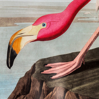Wading Flamingo Framed Art