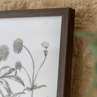 Evergreen Framed Art Set of 3