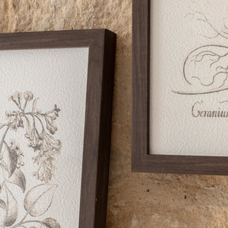 Evergreen Framed Art Set of 3