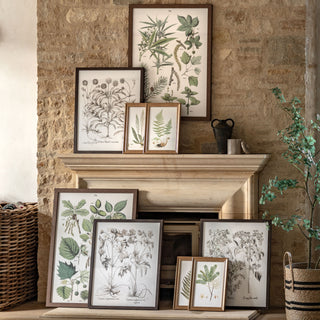 Evergreen Framed Art Set of 3