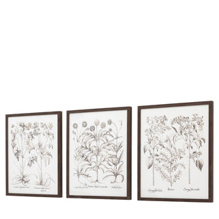 Evergreen Framed Art Set of 3