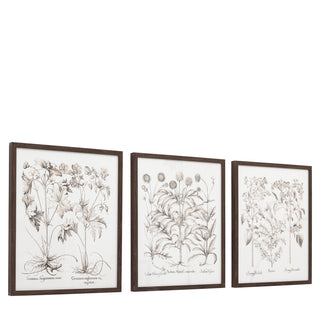 Evergreen Framed Art Set of 3