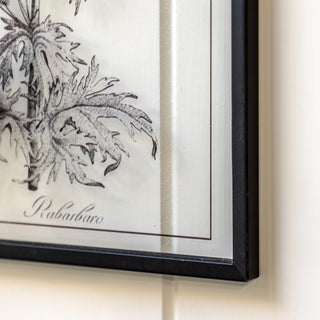 Petiole Framed Art Set of 2