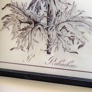 Petiole Framed Art Set of 2