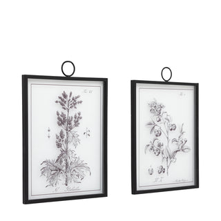 Petiole Framed Art Set of 2