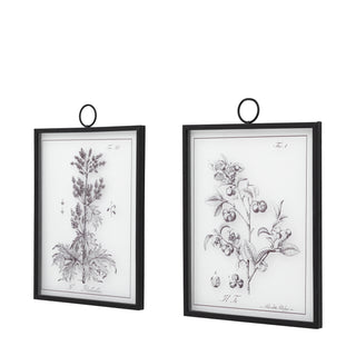 Petiole Framed Art Set of 2