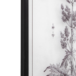 Petiole Framed Art Set of 2