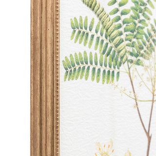 Assorted Ferns Framed Art Set of 4 - KC at HOME